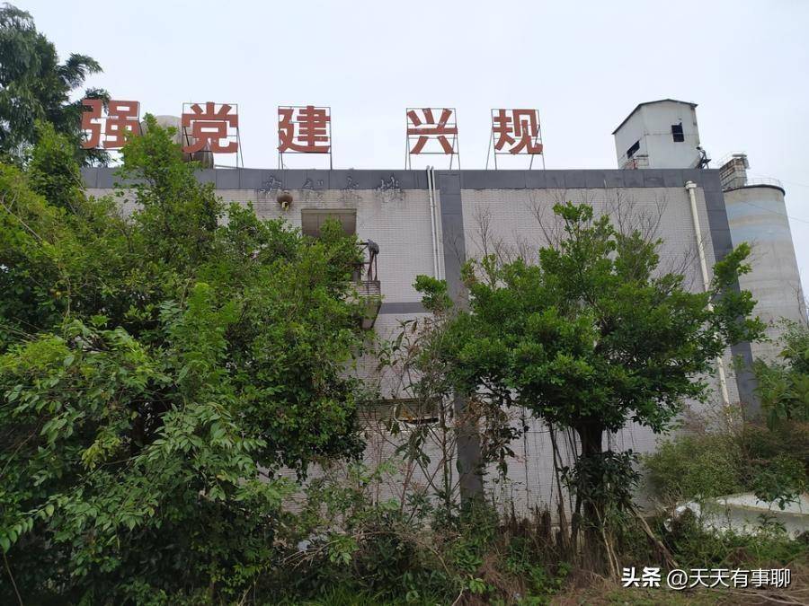 降价八千多万，四川乐山这家老牌水泥厂破产拍卖，被人4688万拿下