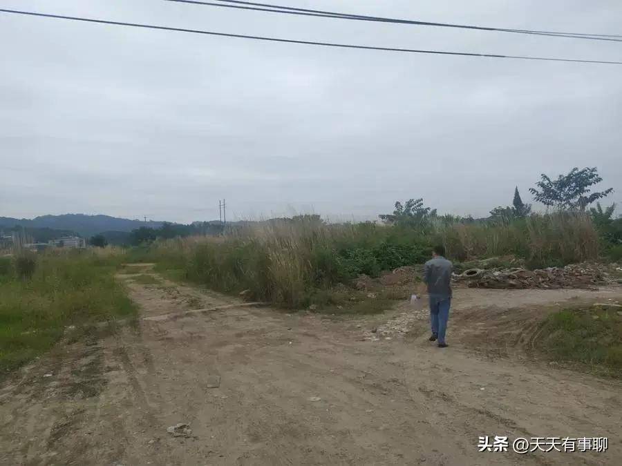 降价八千多万，四川乐山这家老牌水泥厂破产拍卖，被人4688万拿下