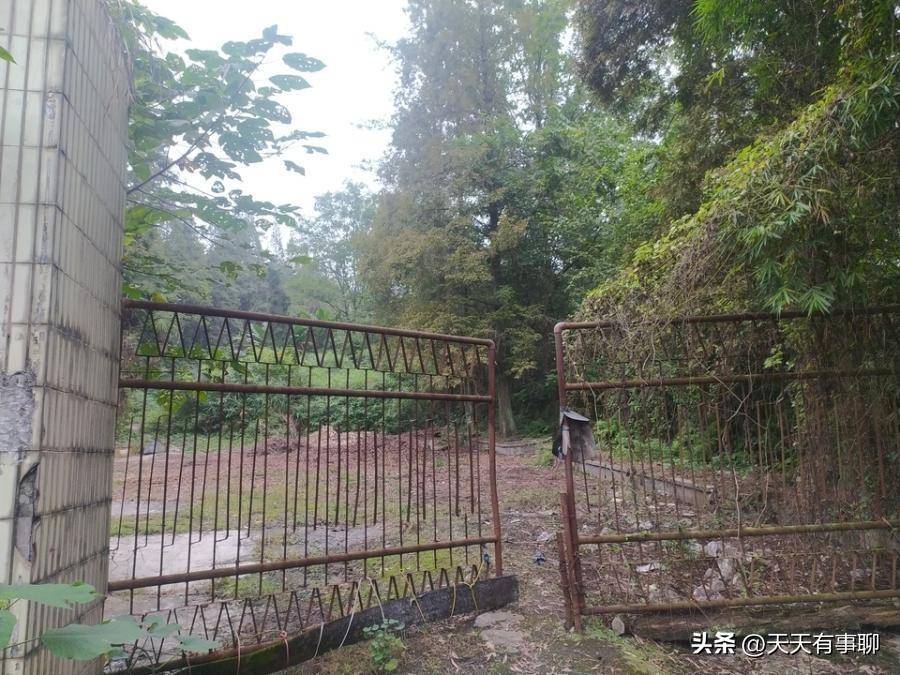 降价八千多万，四川乐山这家老牌水泥厂破产拍卖，被人4688万拿下