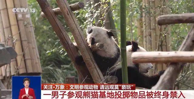 通报！16人终身禁入，最小的8岁