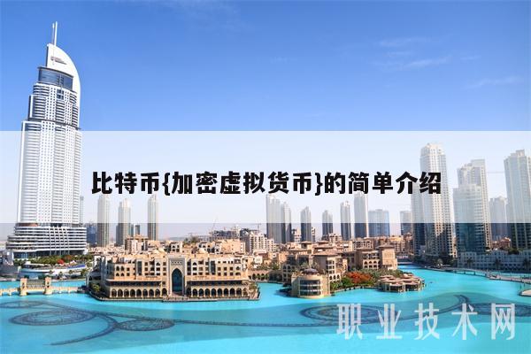 虚拟币介绍(虚拟币介绍视频)