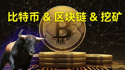虚拟币内盘(虚拟币内盘案例)